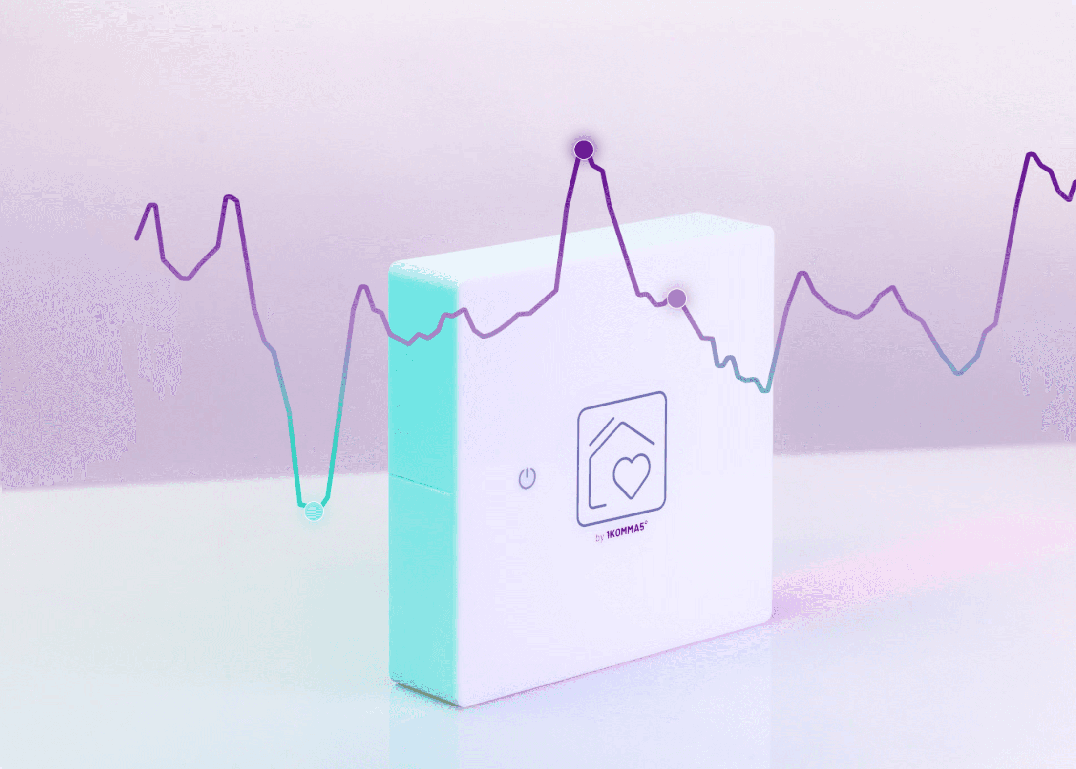 Graf over heartbeat data